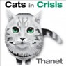 Cats in Crisis (Thanet)